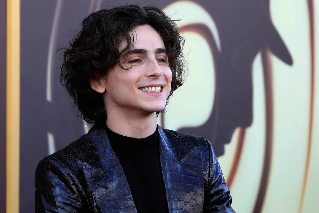 Timothee Chalamet - O Novo Astro de Hollywood