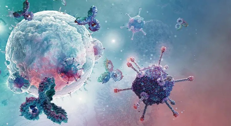 Como Funciona a Imunoterapia Contra o Câncer: A Revolução Silenciosa da Medicina