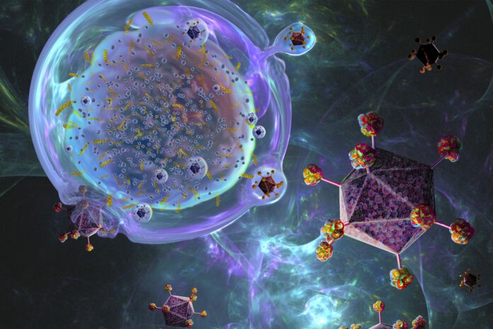 Imunoterapia Contra o Câncer 2