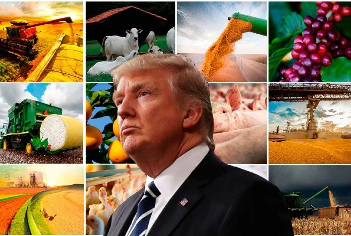 Agronegócio brasileiro pode perder quase US$ 6 bi com tarifas impostas por Trump